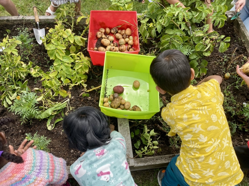 Grangetown Kitchen Garden